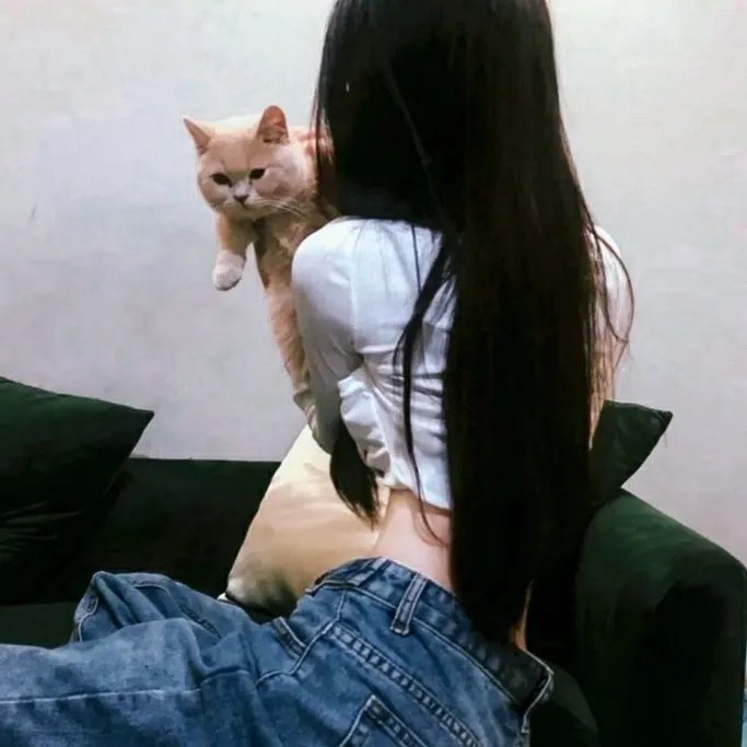 火线掏宝 在线观看